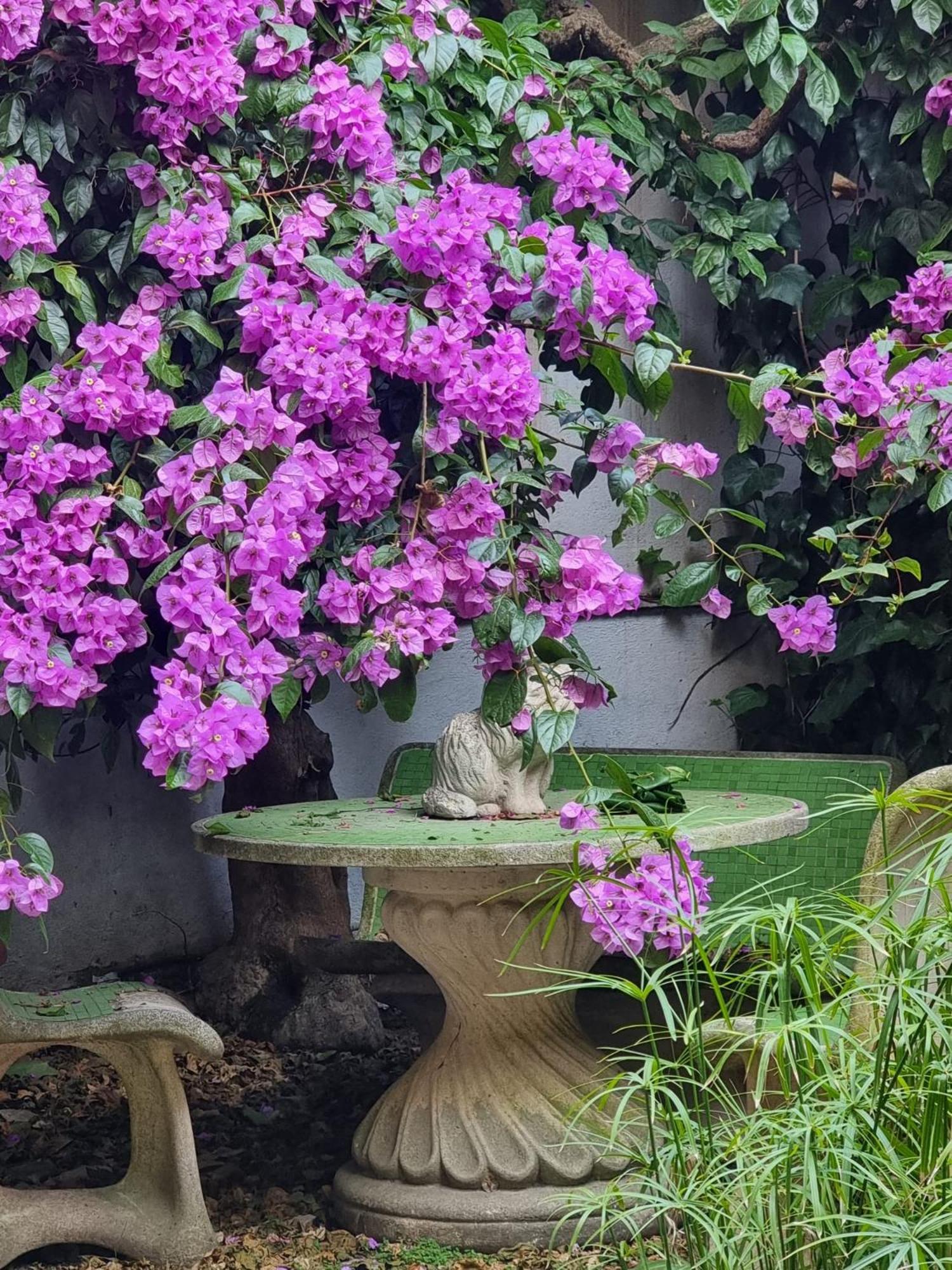 Vatican Fairytale Garden Рим Екстер'єр фото